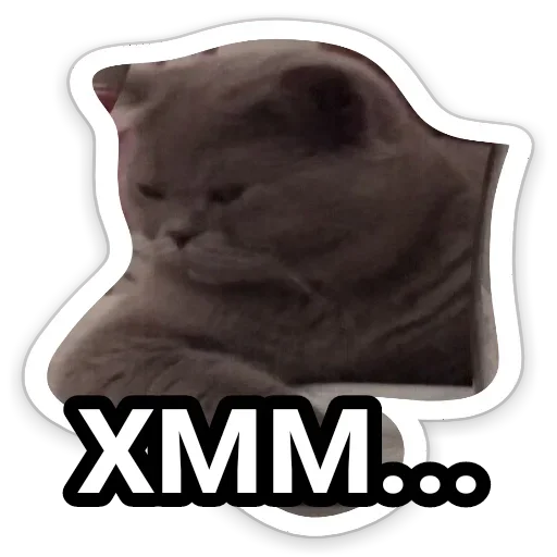 СМС плакат проектировать