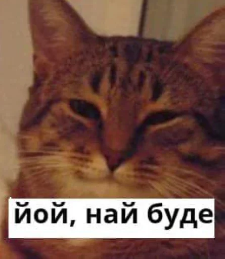 СМС млекопитающее животное