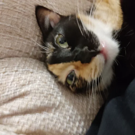 на все случаи жизни - 