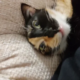 Стикер на все случаи жизни - 7