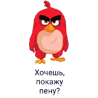 Sticker Sticker Birds - 2