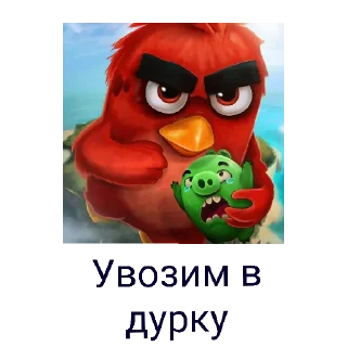 Sticker Sticker Birds - 3