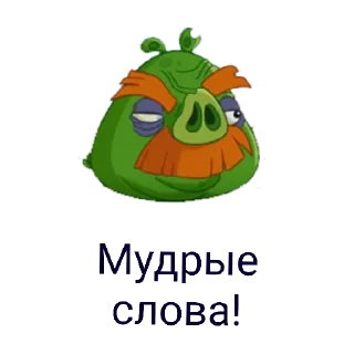 Sticker Sticker Birds - 9