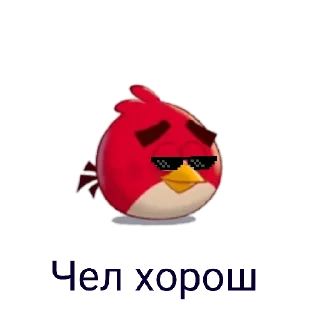 Sticker Sticker Birds - 0