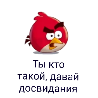 Sticker Sticker Birds - 4