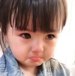 Стикер @channel_kata pack - 8