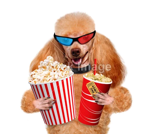 snack dog popcorn