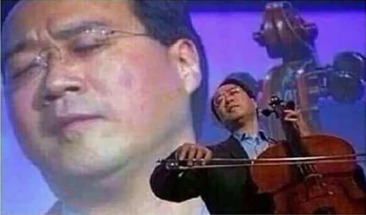 bowed instrument music musical instrument