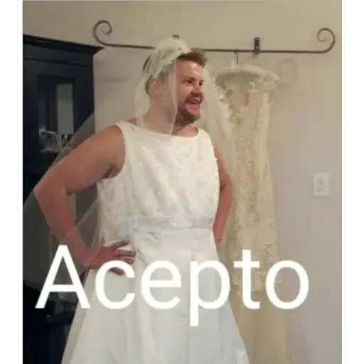 wedding dress bride dress