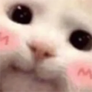 Sticker Стикеры Сонечки - 4