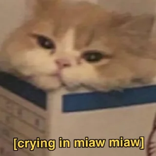 Sticker @stickermemeindonesia baginda - 2