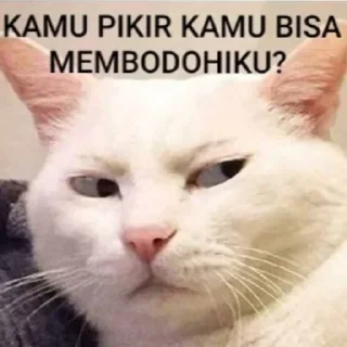 Sticker @stickermemeindonesia baginda - 0