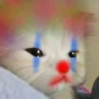 Sticker @stickermemeindonesia baginda - 6