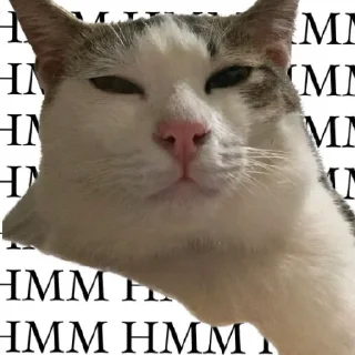 Sticker @stickermemeindonesia baginda - 3