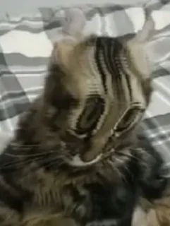 Sticker Для важных переговоров - 6