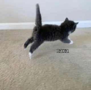 Sticker Для важных переговоров - 2