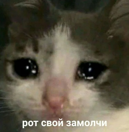 Sticker Stickerrrspack - 1