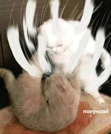 Стикер Stickerrrspack - 1