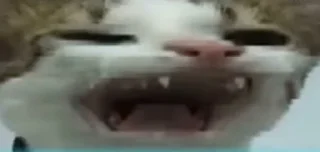 Sticker Для важных переговоров - 7