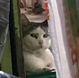 Sticker Для важных переговоров - 3