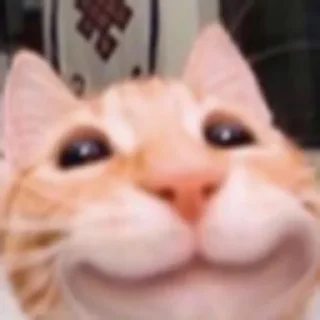 Sticker Для важных переговоров - 10