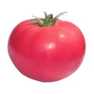 Стикер Стики - 4