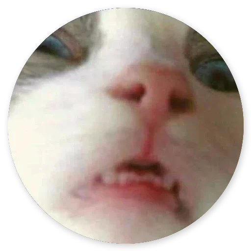 Стикер Stickers187_82 - 1