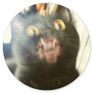 Стикер Cat @stickers187 - 2