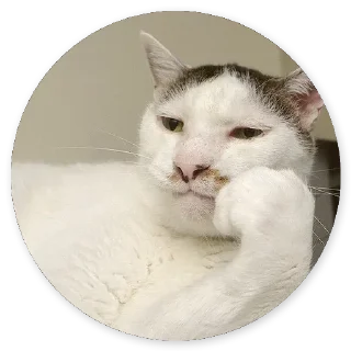 Стикер Cat @stickers187 - 8