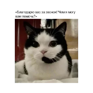 Sticker Стикеры - 0