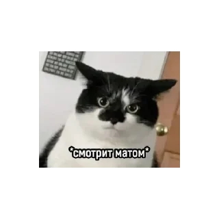 Sticker Стикеры - 2