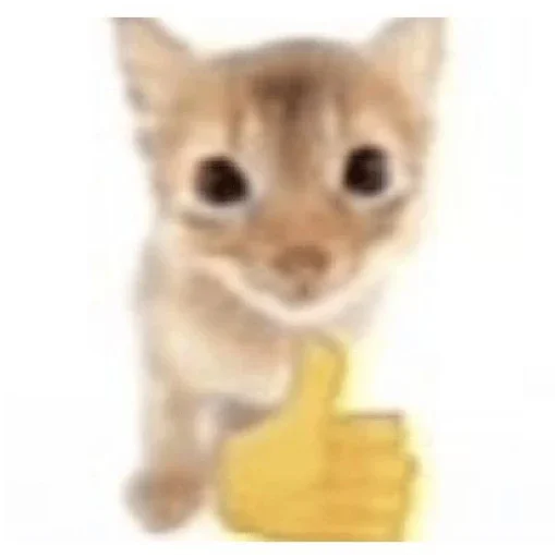 Sticker StickersFuck111 - 1