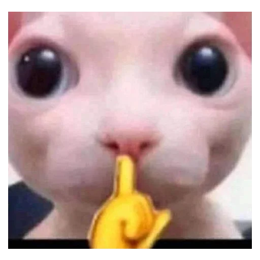 Стикер StickersFuck111 - 1