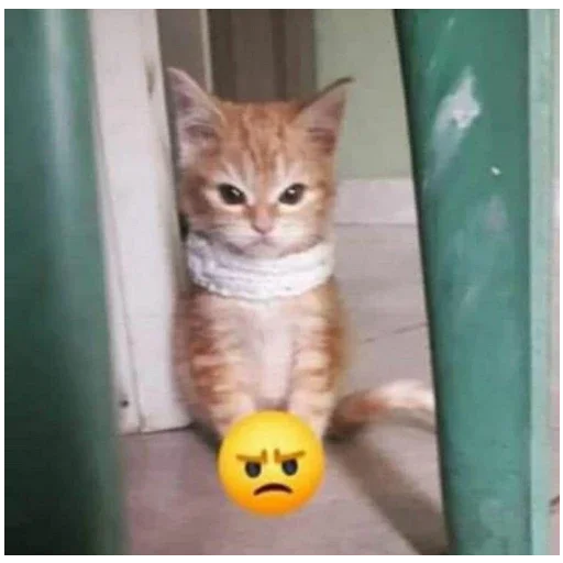 Sticker StickersFuck111 - 1