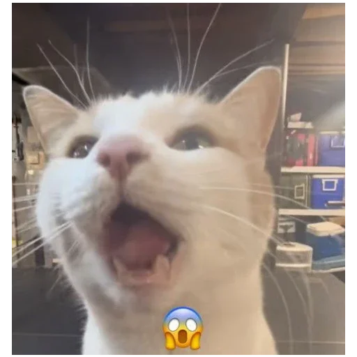 Стикер StickersFuck111 - 1