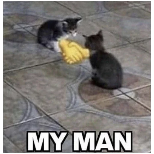 Стикер StickersFuck111 - 1