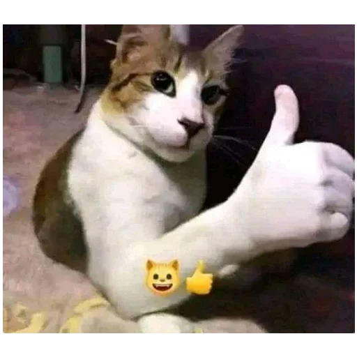 Стикер StickersFuck111 - 1