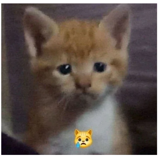 Стикер StickersFuck111 - 1