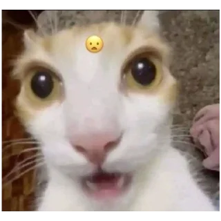 Sticker @StickersFuck1 - 6