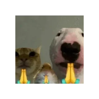 Sticker @StickersFuck1 - 1