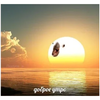 Sticker @StickersFuck1 - 9