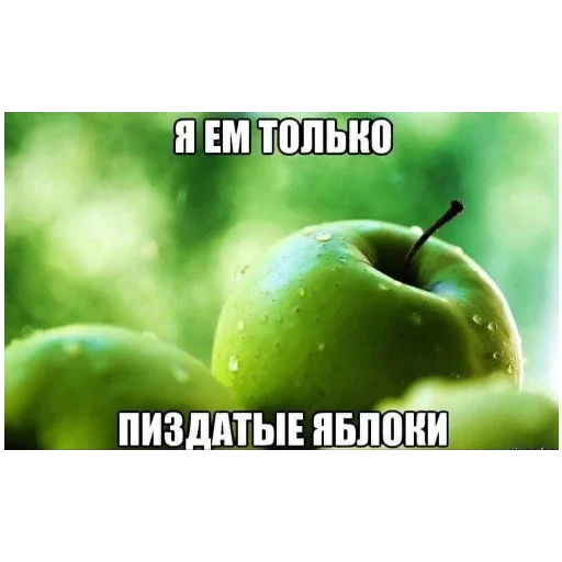 Стикер StickersFuck1552 - 1