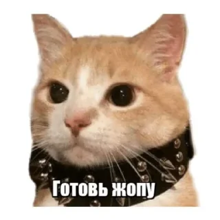 Sticker @StickersFuck1 - 9