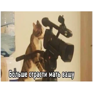 Sticker @StickersFuck1 - 1