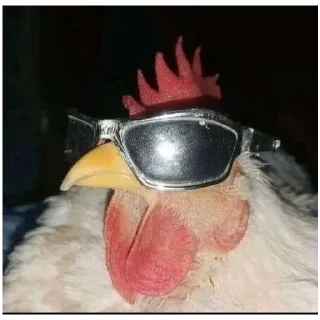 Стикер @StickersFuck1 - 1