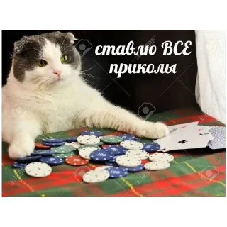 Стикер @StickersFuck1 - 10