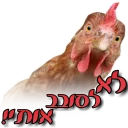 Sticker מדבקות ישראל - 9