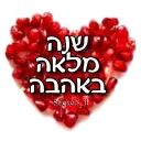 Sticker מדבקות ישראל - 11