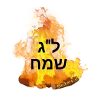 Sticker מדבקות ישראל - 4