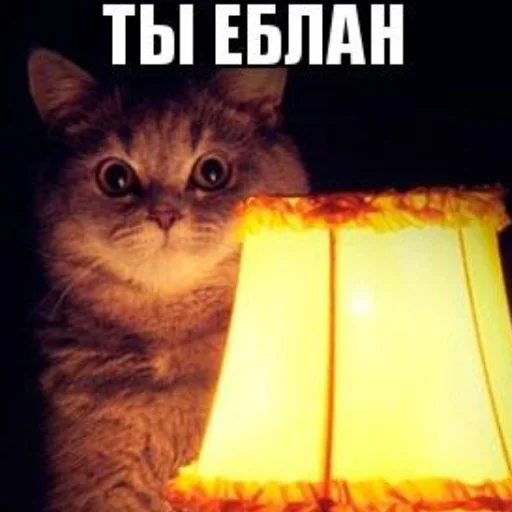 Sticker Стики @rp_party - 9